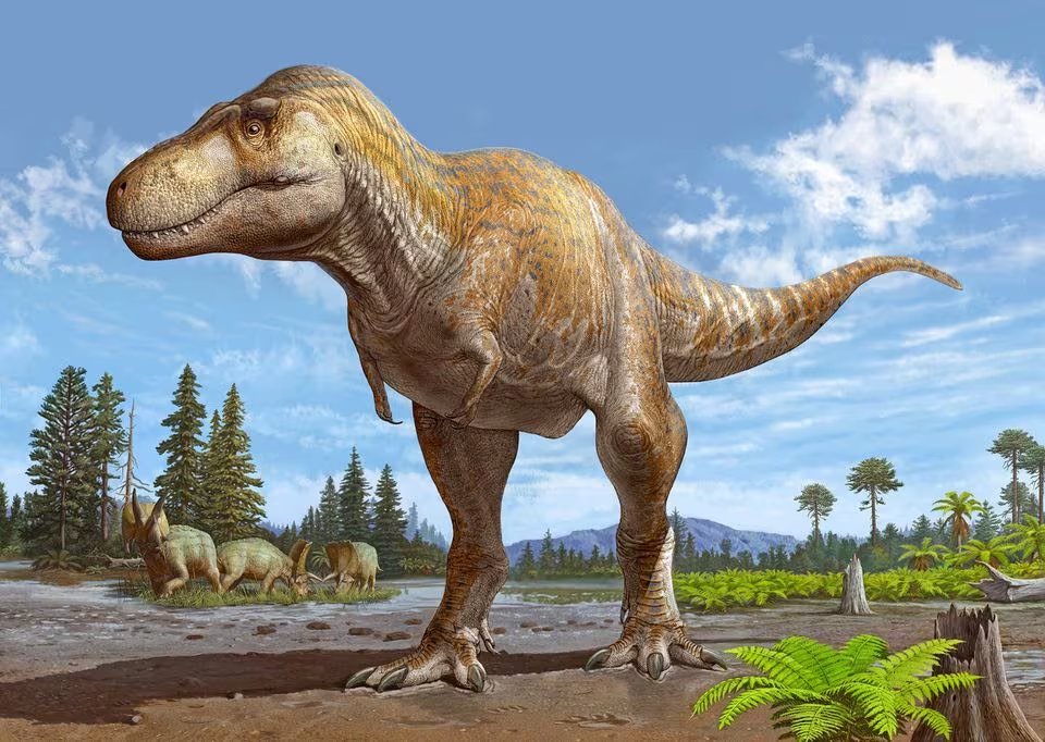 Saintis menyimpulkan fosil New Mexico adalah spesies Tyrannosaurus baharu